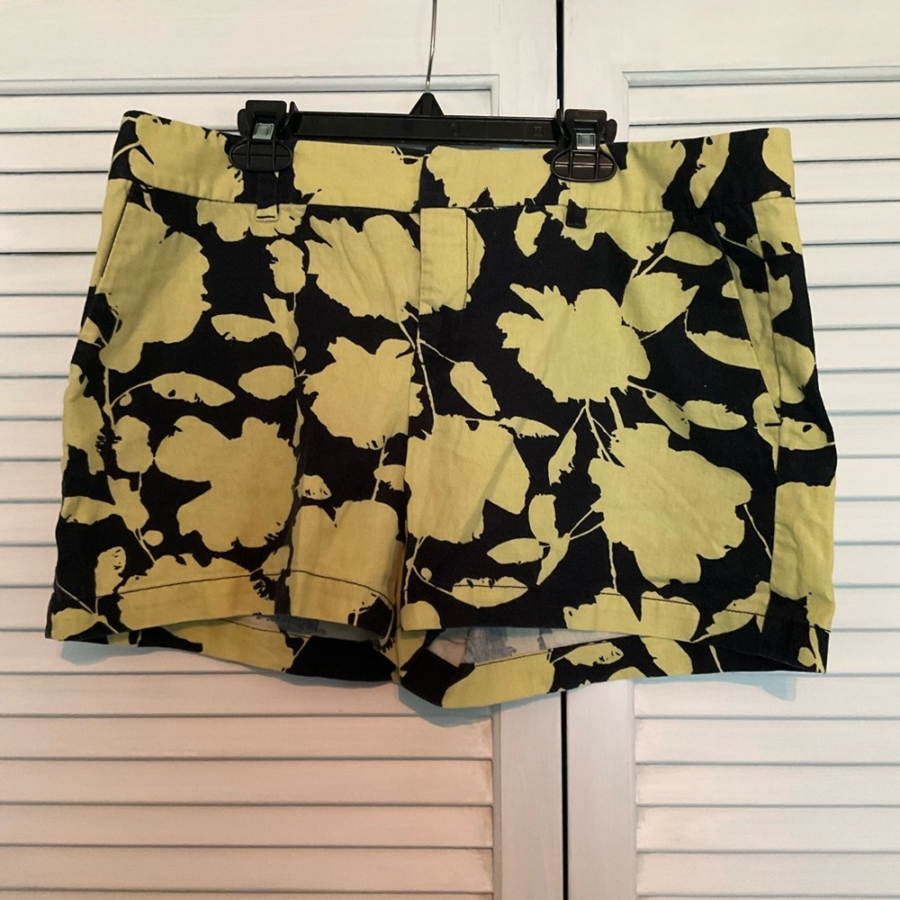 Ann Taylor Loft Shorts